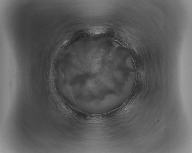 X0000111241393200907021401