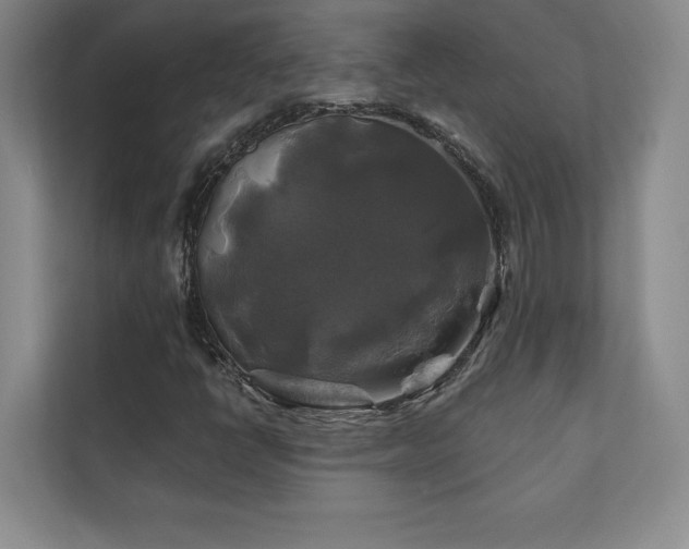 X0000111241398200907021401