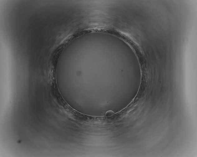 X0000111241399200907021401