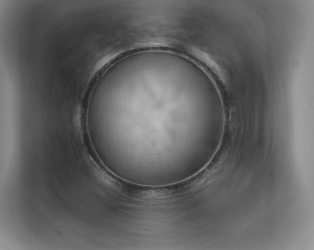 X0000111241404200907021401