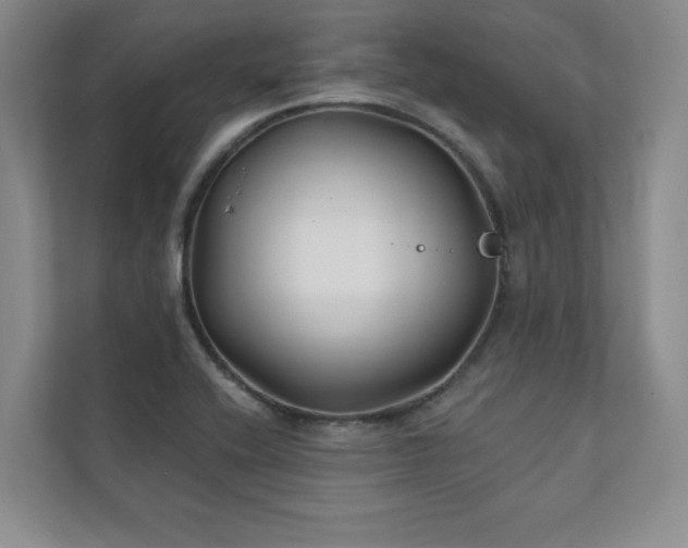 X0000111241416200907021402