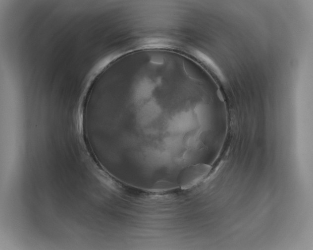 X0000111241419200907021402