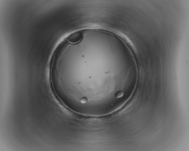 X0000111241424200907021402