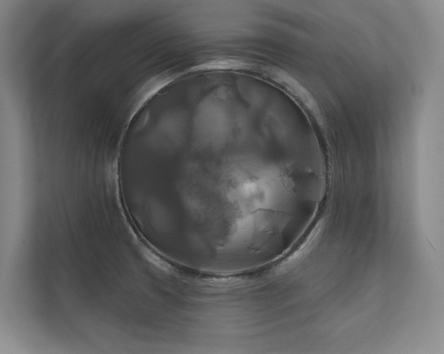 X0000111241425200907021402