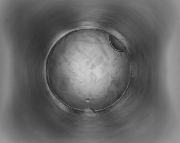 X0000111241431200907021402