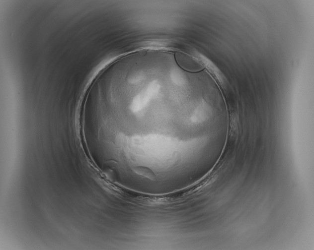X0000111241435200907021402