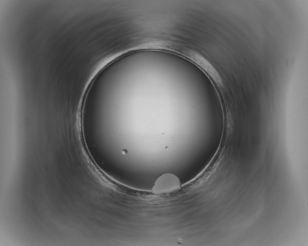 X0000111241436200907021402