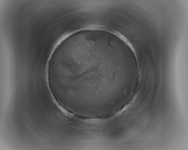 X0000111241437200907021402