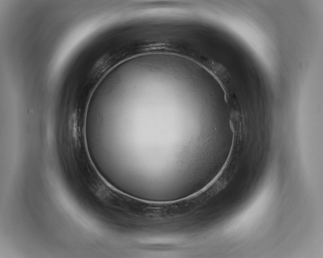 X0000111241438200907021402