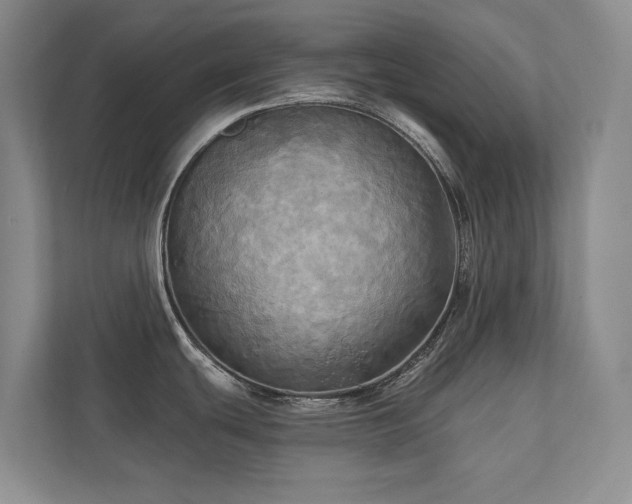 X0000111241439200907021402