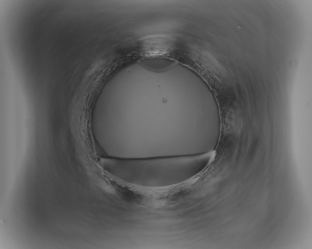 X0000111241441200907021401