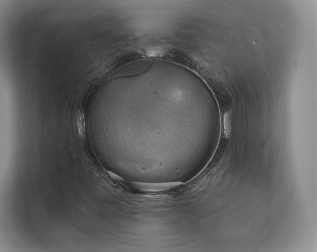X0000111241443200907021401