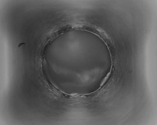 X0000111241445200907021401