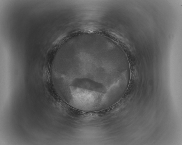 X0000111241446200907021401
