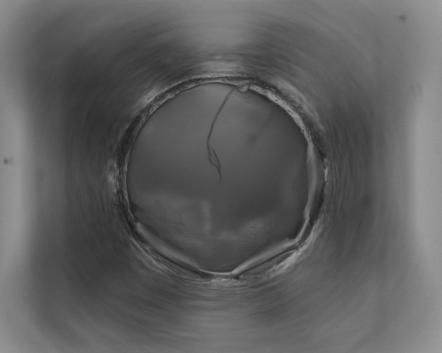 X0000111241449200907021401