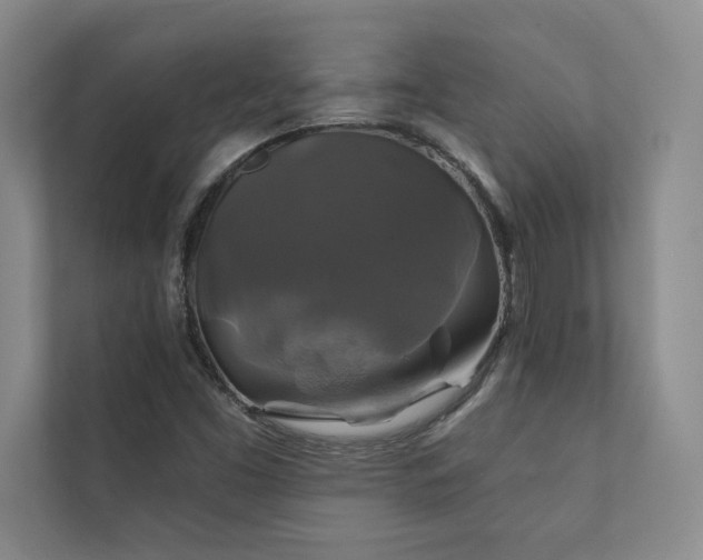 X0000111241453200907021401