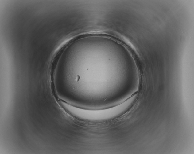 X0000111241456200907021401