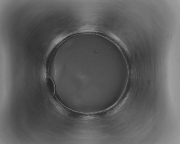 X0000111241461200907021401