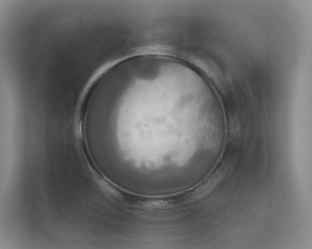X0000111241462200907021401