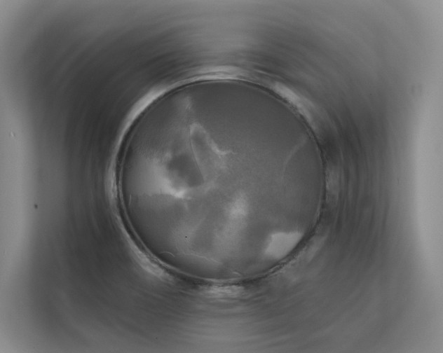 X0000111241466200907021401