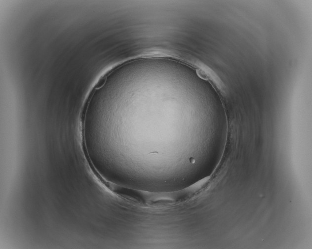 X0000111241476200907021401