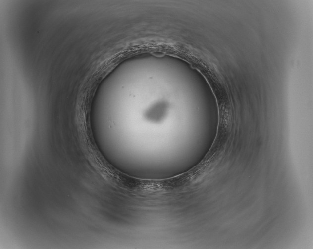 X0000111241489200907021400