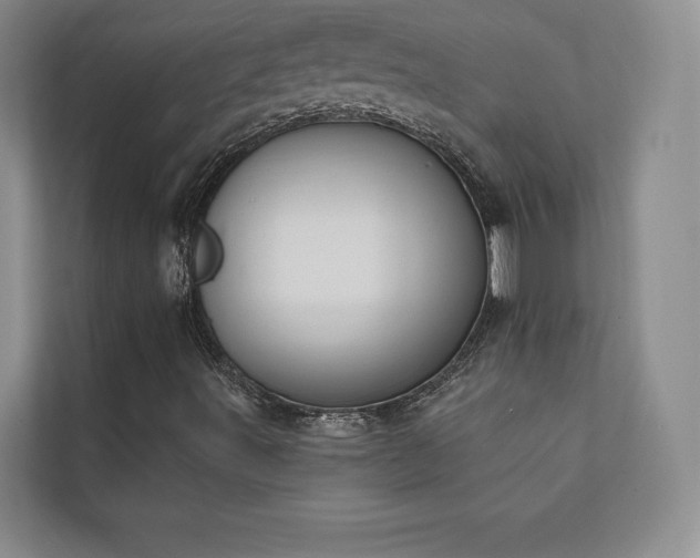 X0000111241491200907021400