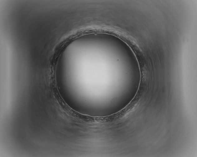 X0000111241494200907021400