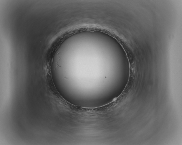 X0000111241495200907021400