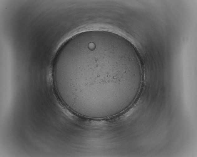 X0000111241498200907021400