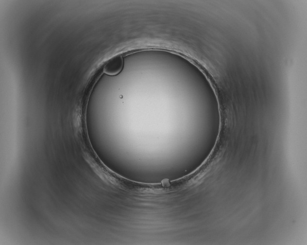 X0000111241499200907021400