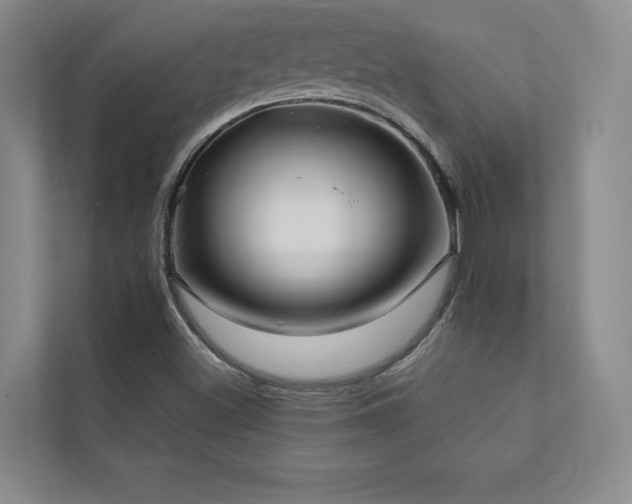 X0000111241500200907021400