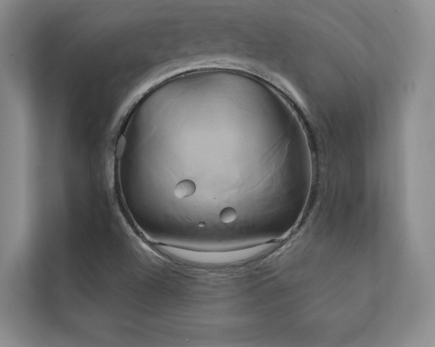 X0000111241504200907021400