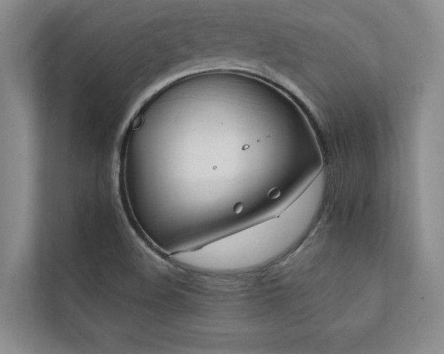 X0000111241508200907021400