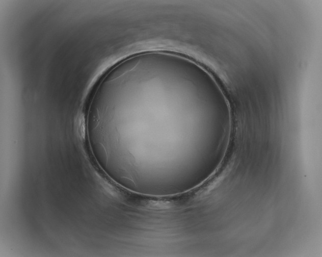 X0000111241509200907021400