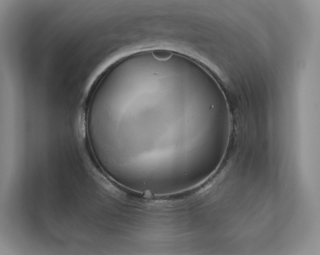 X0000111241510200907021400