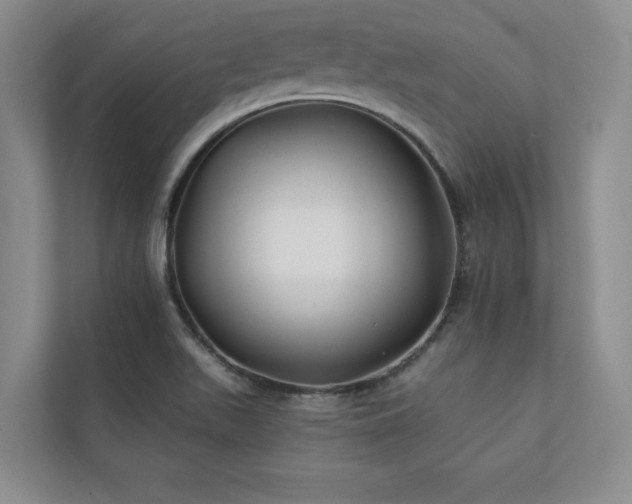X0000111241511200907021400