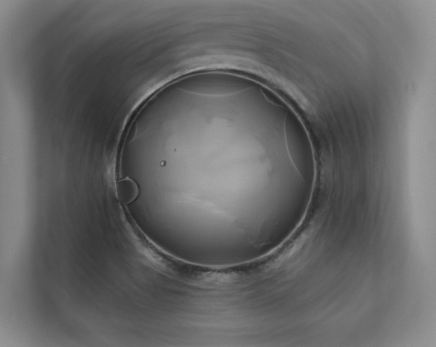 X0000111241513200907021400