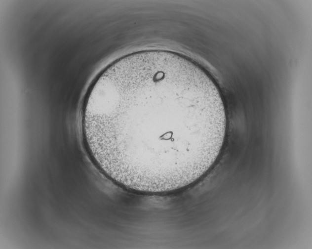 X0000111241514200907021400
