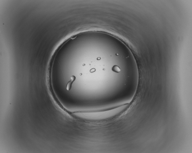 X0000111241518200907021400