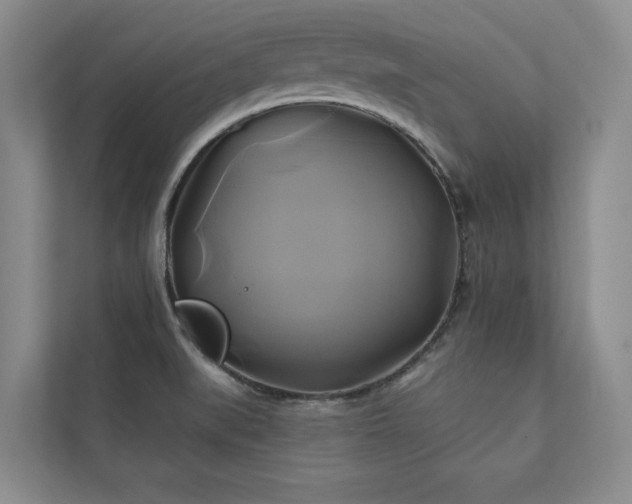 X0000111241519200907021400