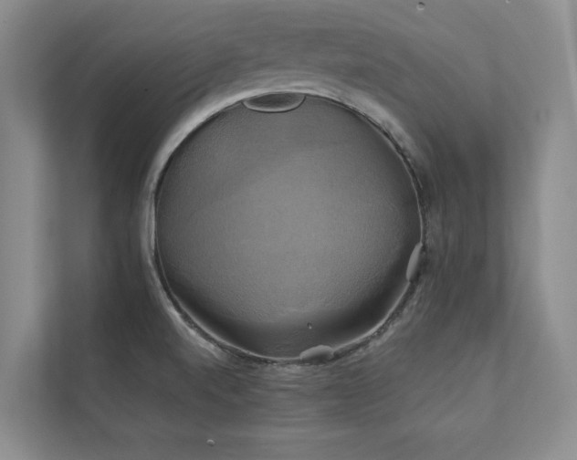 X0000111241520200907021400