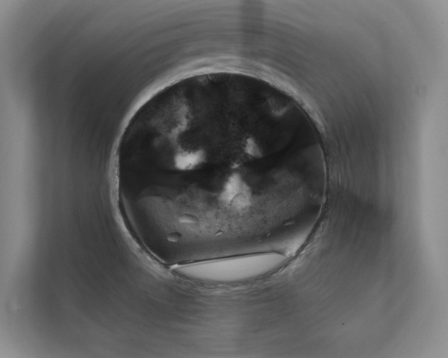 X0000111241522200907021400