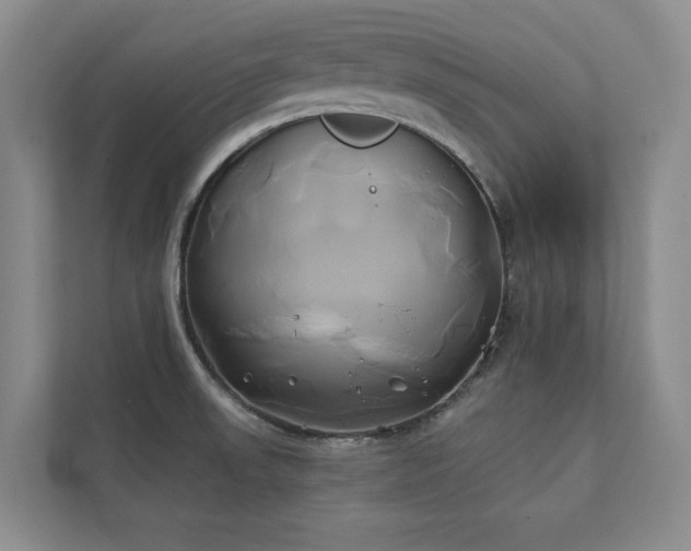 X0000111241523200907021400