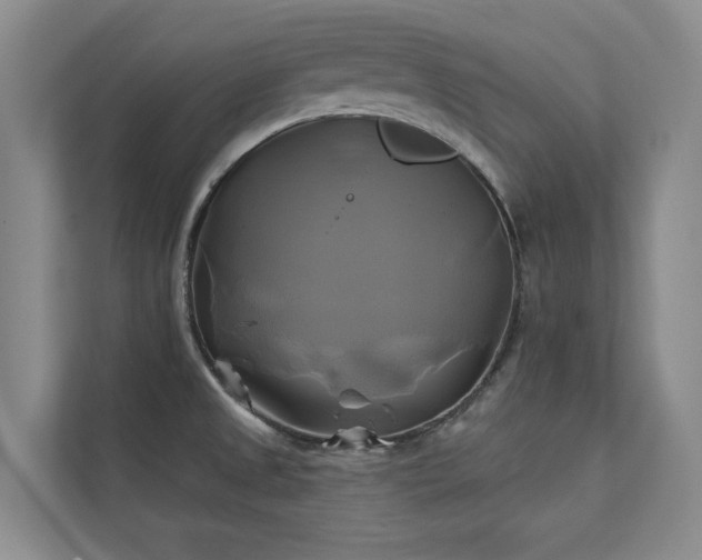 X0000111241525200907021400
