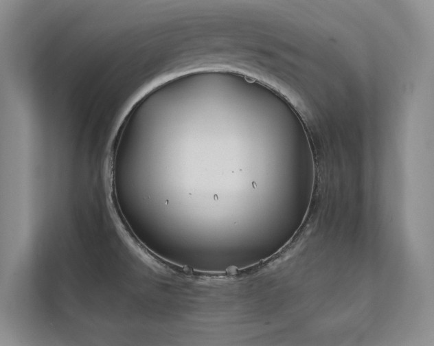 X0000111241526200907021400