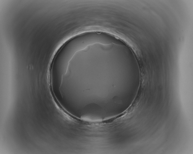 X0000111241527200907021400