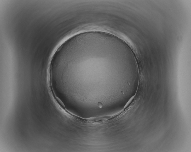 X0000111241528200907021400