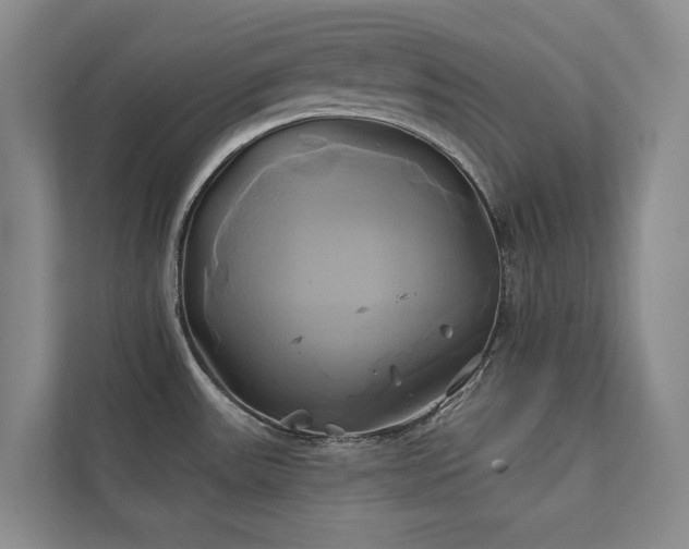X0000111241531200907021400