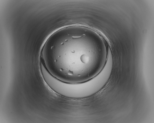 X0000111241532200907021400